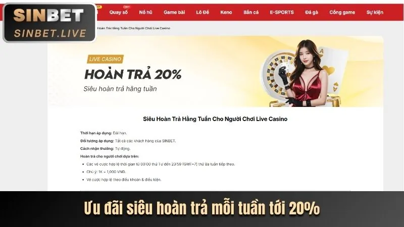 Người dùng chấp thuận điều khoản dịch vụ bet20 đăng nhập